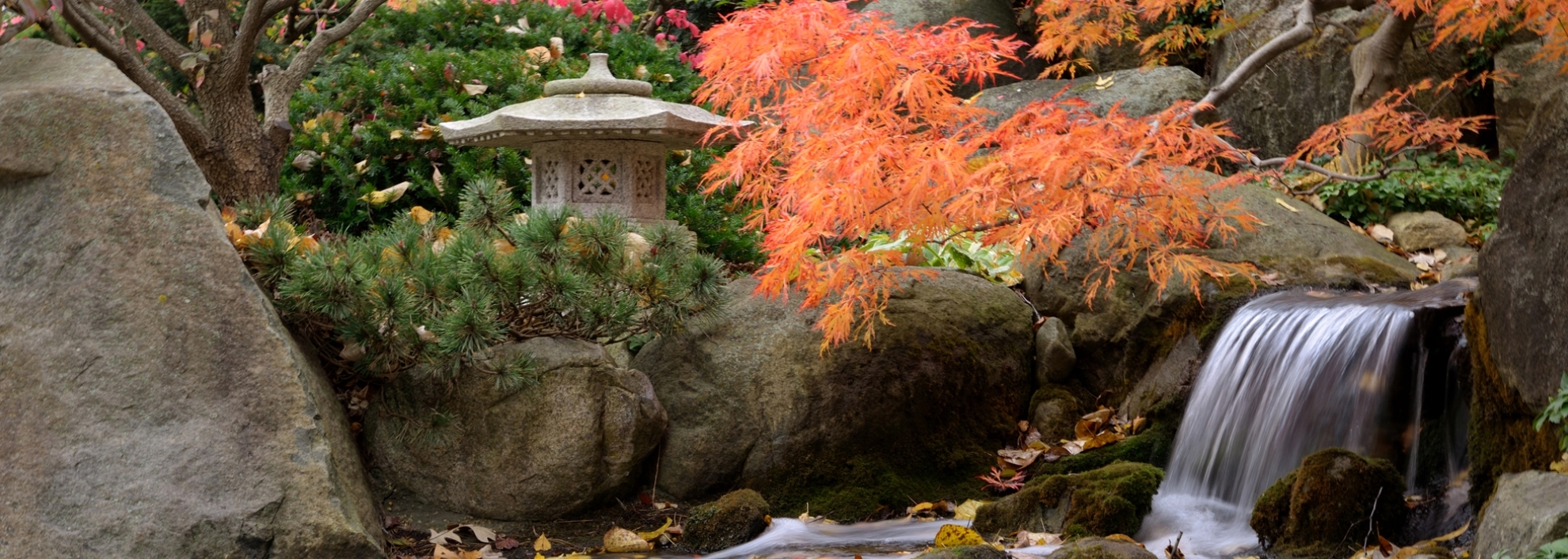 Scenic View of Waterfall